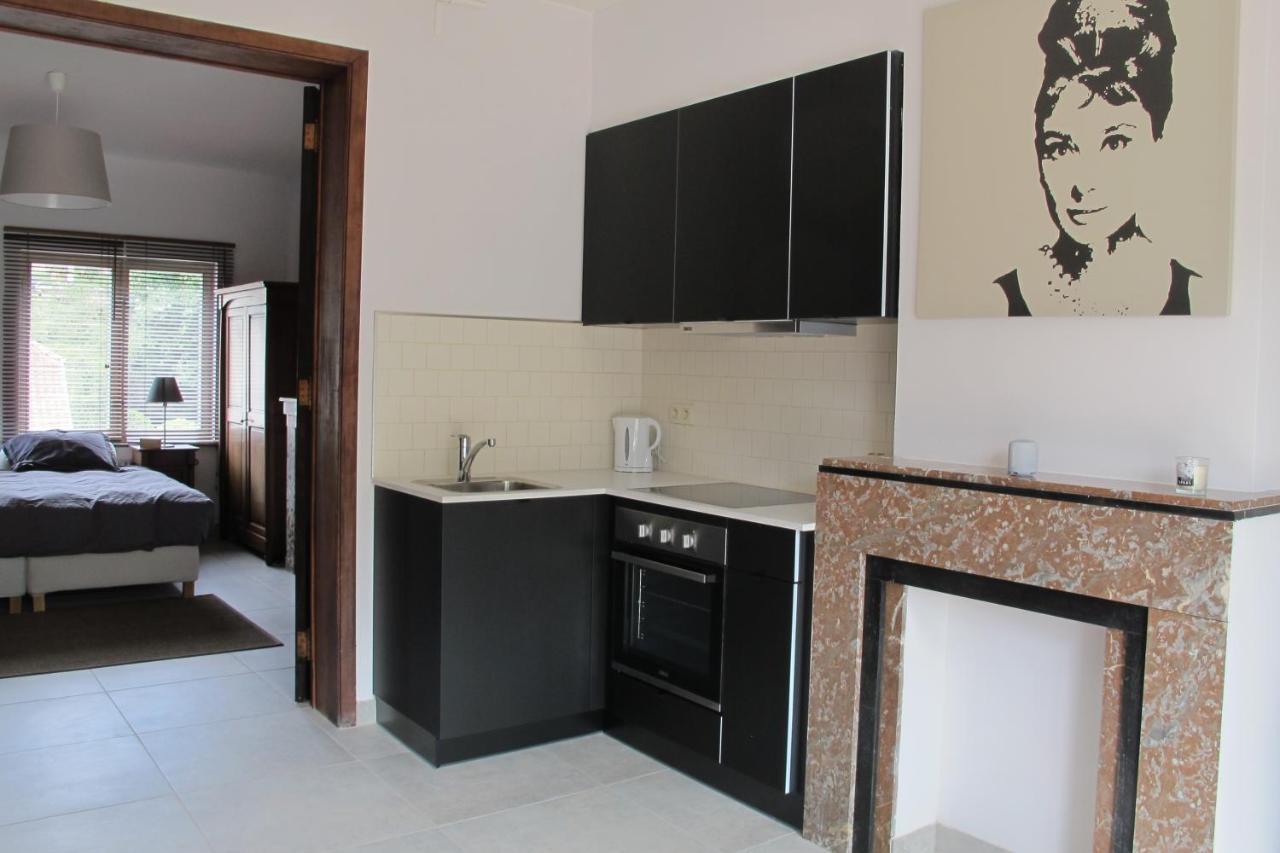 Brussels Downtown With Terrace Apartment Екстериор снимка